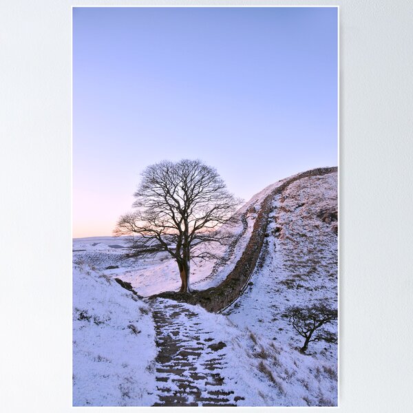 Item preview, Sycamore Gap  designed and sold by Joan Thirlaway.