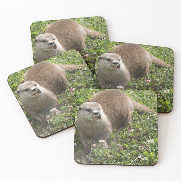 Item preview, Asian Short Clawed Otter designed and sold by aquabella.