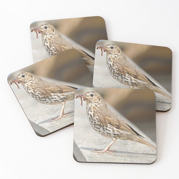 Item preview, Song Thrush + Worms designed and sold by aquabella.