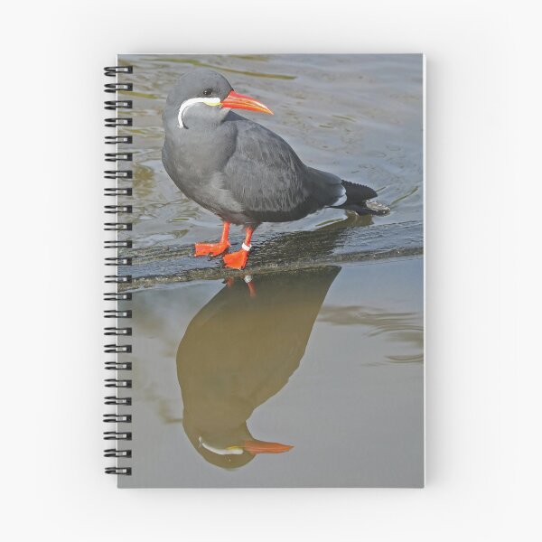 Item preview, Inca Tern designed and sold by aquabella.