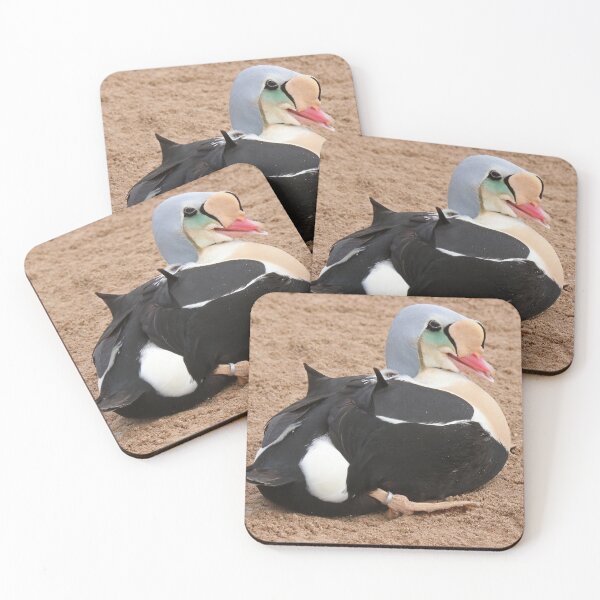 Item preview, King Eider designed and sold by aquabella.