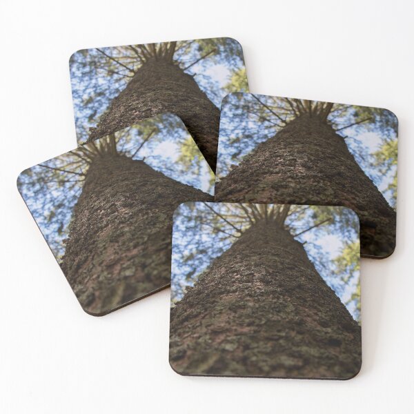 Item preview, Tree in Black Forest designed and sold by erikvanrent.