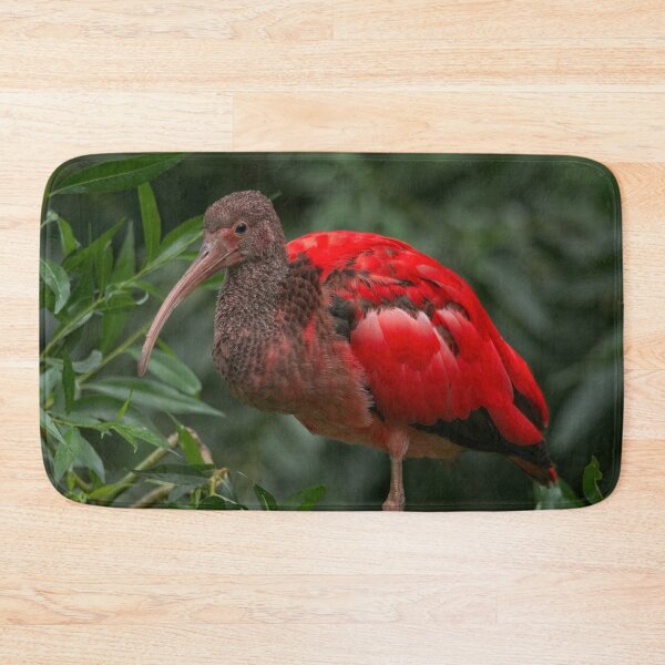 Item preview, Scarlet ibis designed and sold by rawshutterbug.