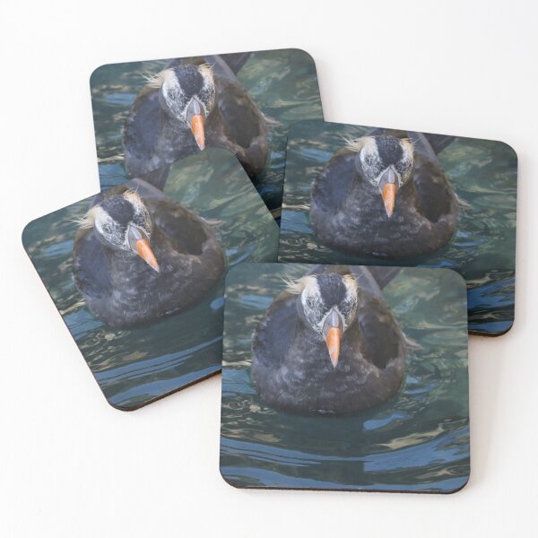 Item preview, Tufted Puffin designed and sold by aquabella.