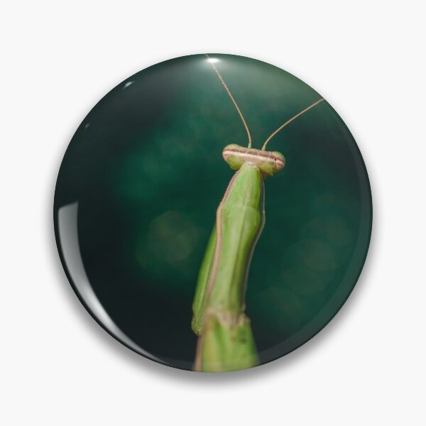 Item preview, Mantis designed and sold by Luigi Veggetti.