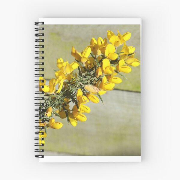 Item preview, Gorse designed and sold by aquabella.