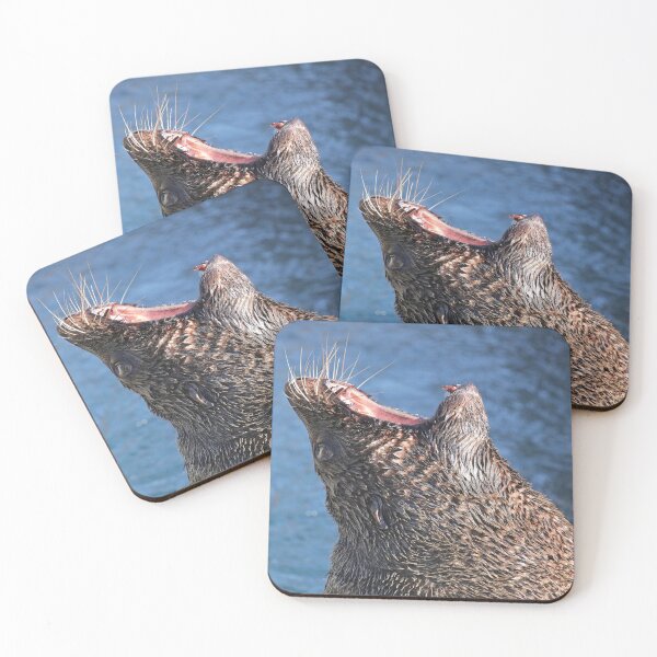 Item preview, South American Fur Seal designed and sold by aquabella.