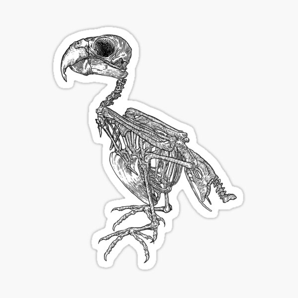 Skully Bird Chest Tattoo by Puku on DeviantArt