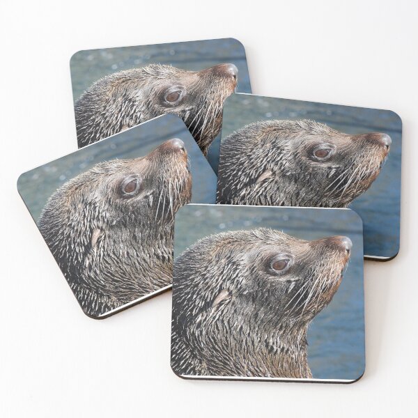 Item preview, South American Fur Seal designed and sold by aquabella.