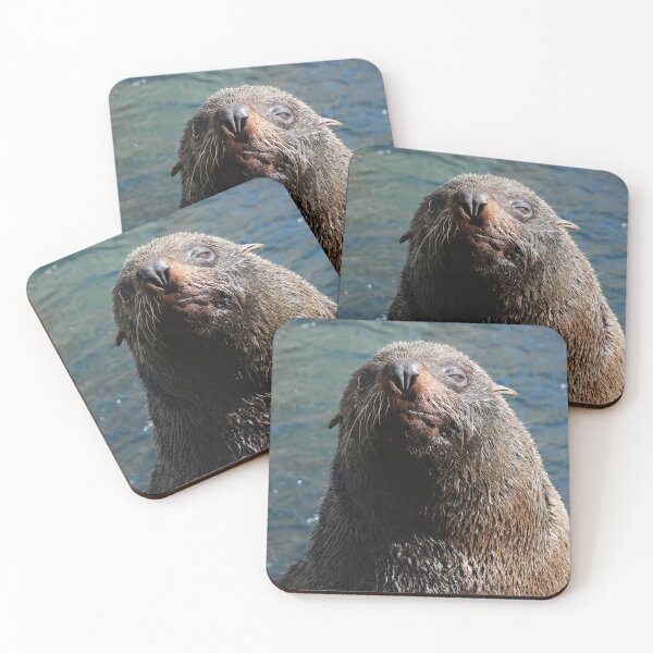 Item preview, South American Fur seal designed and sold by aquabella.