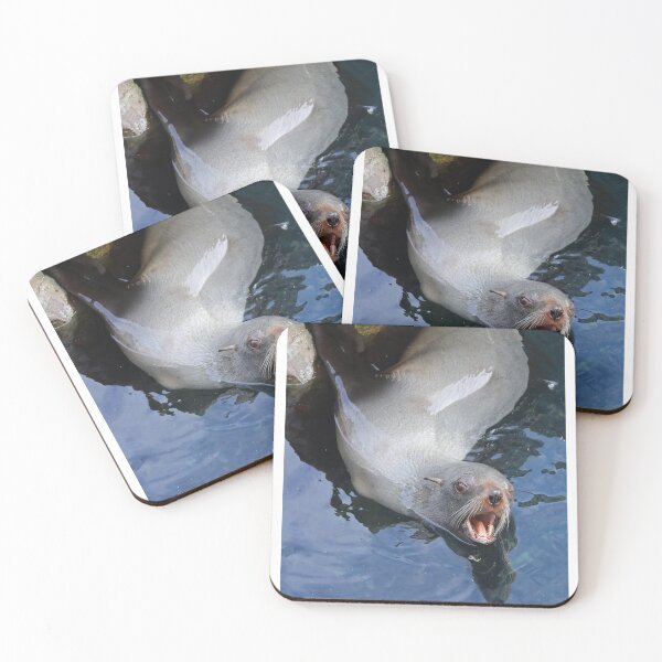 Item preview, South American Fur Seal designed and sold by aquabella.