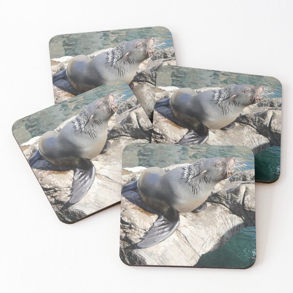 Item preview, South American Fur Seal catching a fish designed and sold by aquabella.