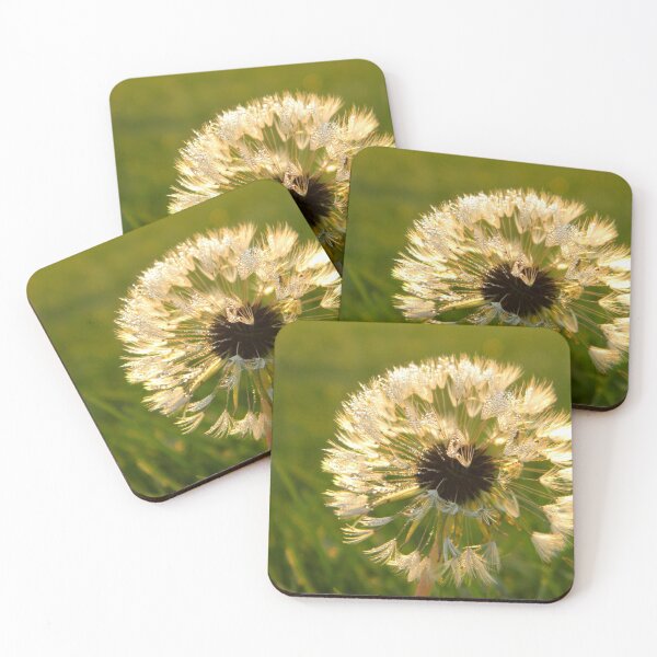 Item preview, Dandelion and dew designed and sold by ThinGeoff.