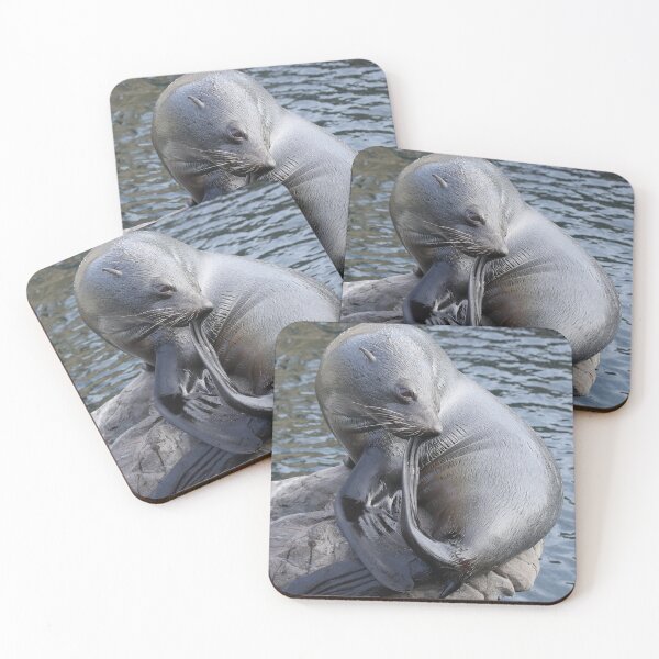 Item preview, South American Fur Seal designed and sold by aquabella.