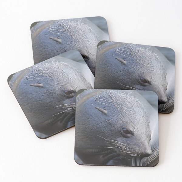 Item preview, South American Fur Seal designed and sold by aquabella.