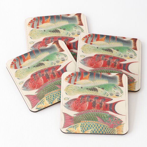 Item preview, Vintage illustration - Great barrier reef fishes designed and sold by DejaVuStudio.