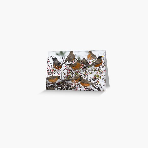 Winter Feast Greeting Card