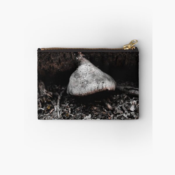 Item preview, Hide and Shroom. designed and sold by shesjustcurious.