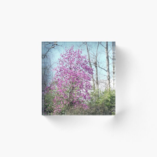 Aperçu de l'œuvre Arbre en fleur créée et vendue par Graham Sessions.