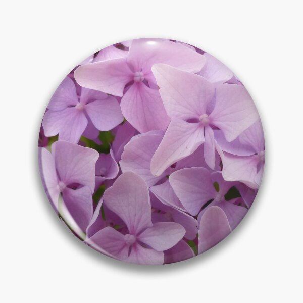 Item preview, Hydrangea Mophead Pale Pink Flowers designed and sold by Tezoodle Art.