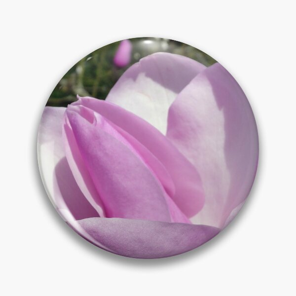 Aperçu de l'œuvre Magnolia rose créée et vendue par Graham Sessions.