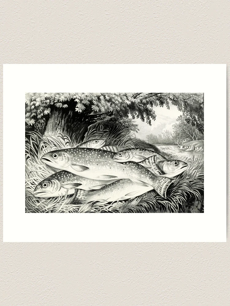 Brook trout fishing, Art Print by Currier & Ives at