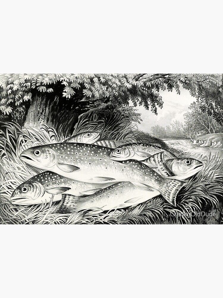 Brook trout fishing, Art Print by Currier & Ives at