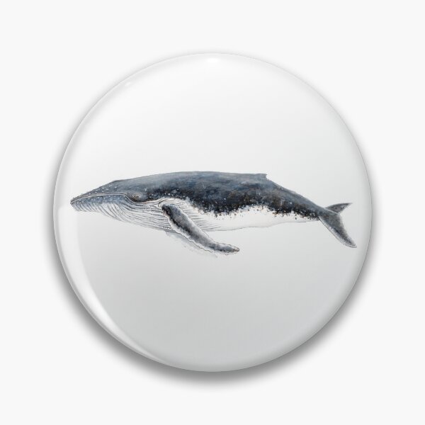 Item preview, Humpback whale Megaptera novaeangliae designed and sold by chloeyzoard.