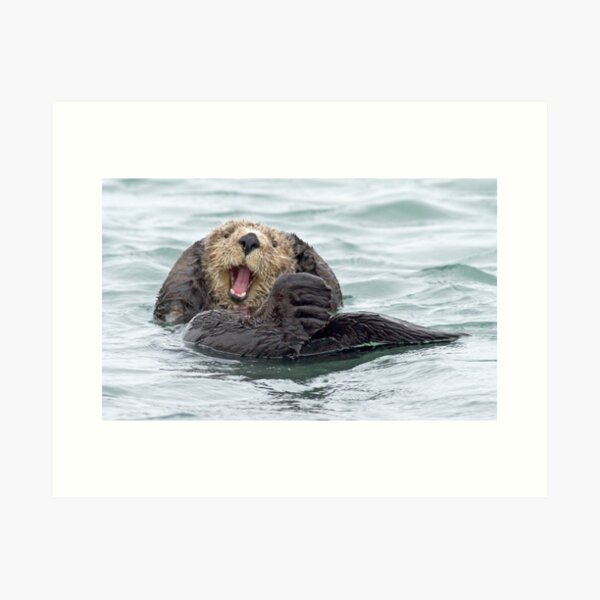 Happiness is a wet otter Art Print