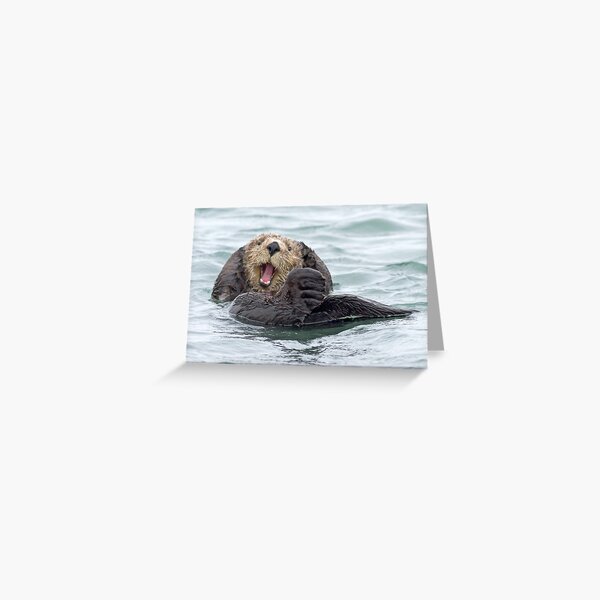 Happiness is a wet otter Greeting Card