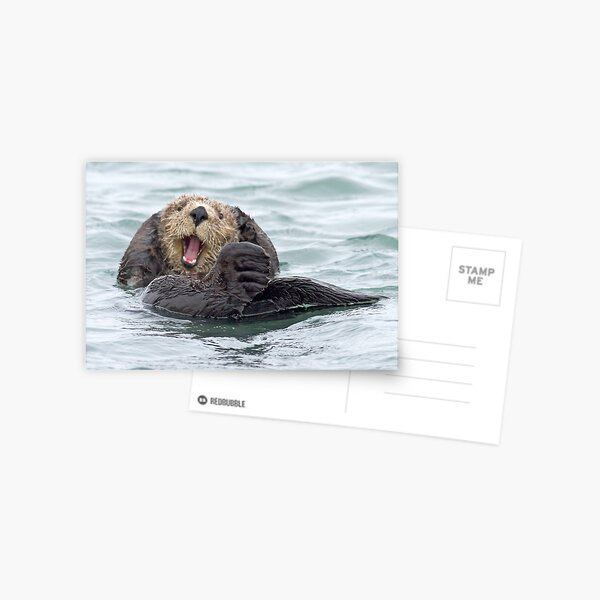Happiness is a wet otter Postcard