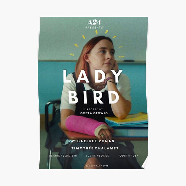 Lady bird alternative poster Poster