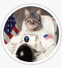ASTRO KAT Sticker