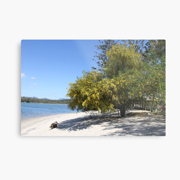 Item preview, A Wattle Tree on the Beach designed and sold by Robyn J. Blackford.