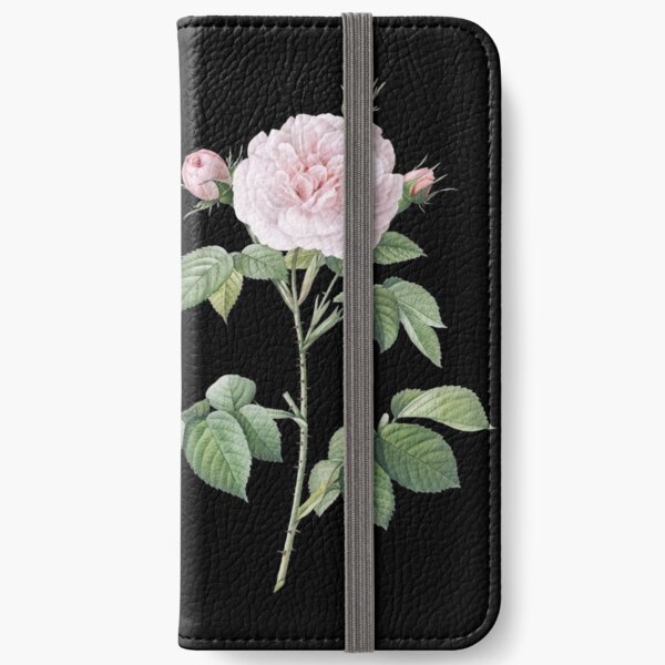 Pink rose botanical illustration iPhone Wallet
