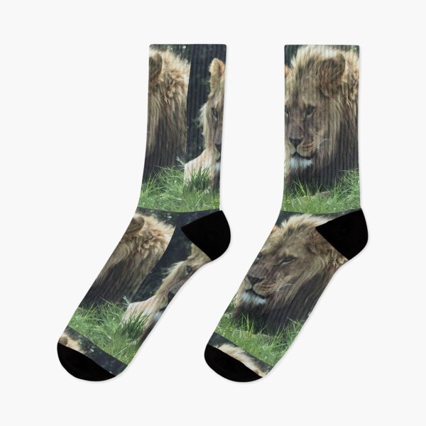 Item preview, A Lion  designed and sold by DaneK49.