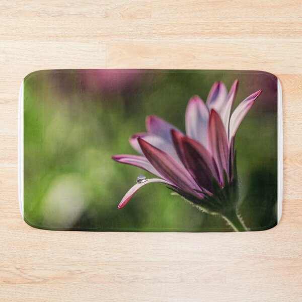 Item preview, Osteospermum. designed and sold by John Ray.