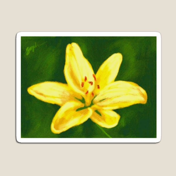 Free Lily Magnet