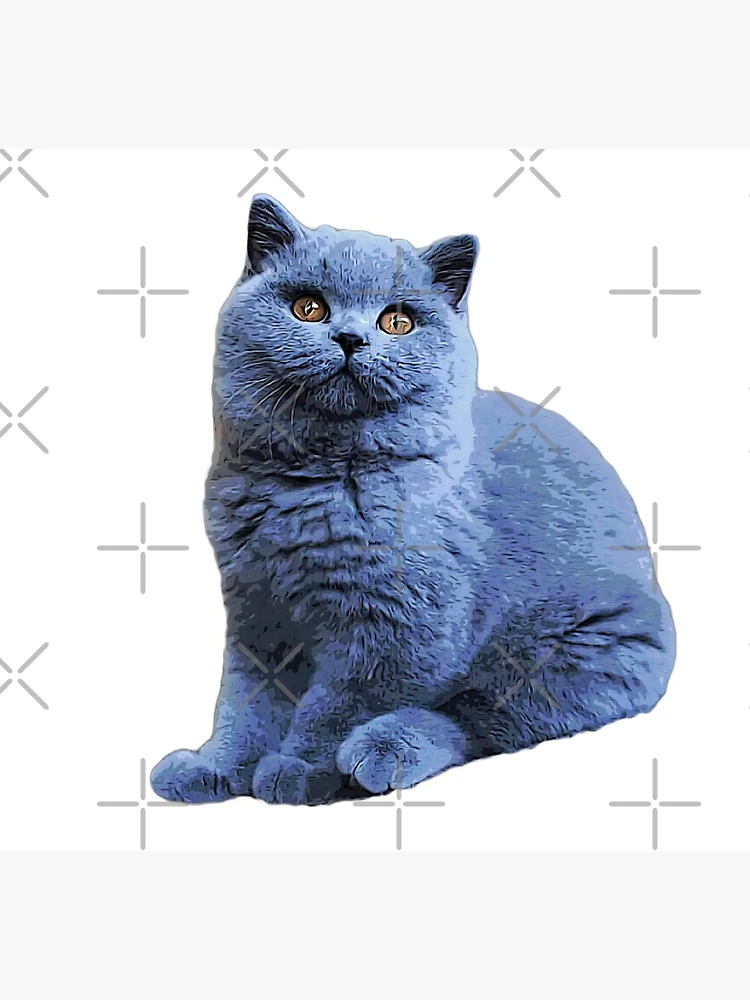 Premium Vector | British Shorthair, Cat With Blue Eyes, Watercolor, Vector - View #11