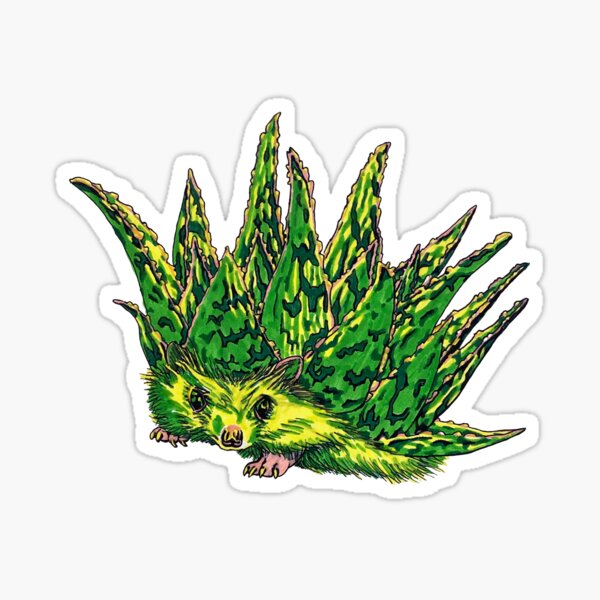 Hedgehog Aloe Sticker