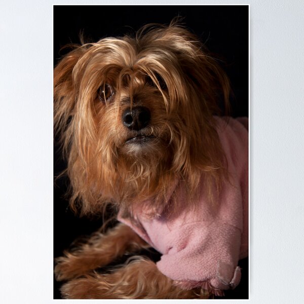Item preview, Skitsy! designed and sold by Maisie Sinclair.