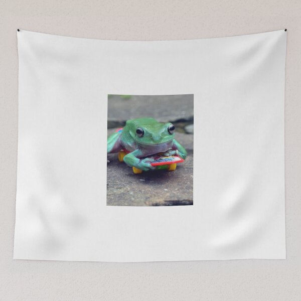 Item preview, it’s a frog on a skateboard designed and sold by misha jenkins.
