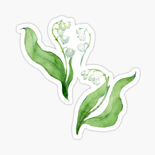 lily of the valley Sticker
