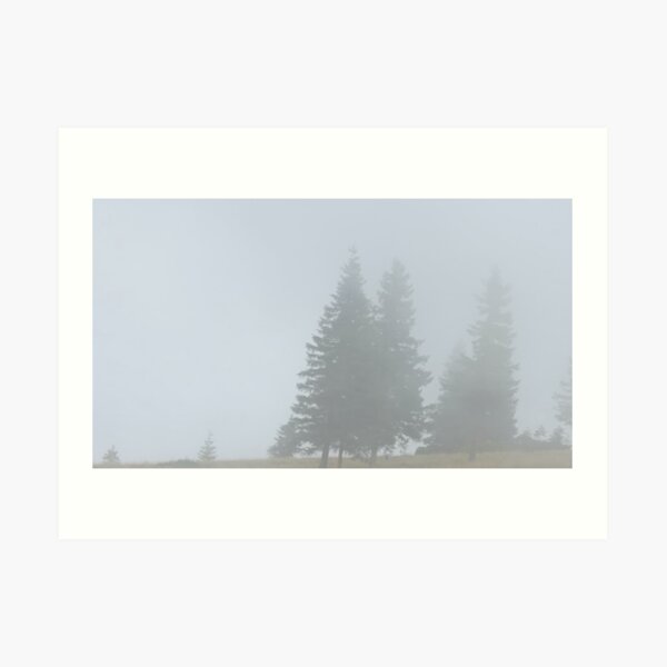 lonely trees in the morning mist Art Print