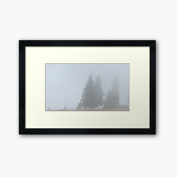 lonely trees in the morning mist Framed Art Print
