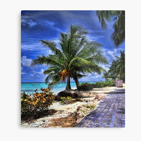 Two Palms Metal Print