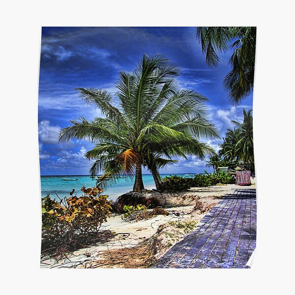 Two Palms Poster