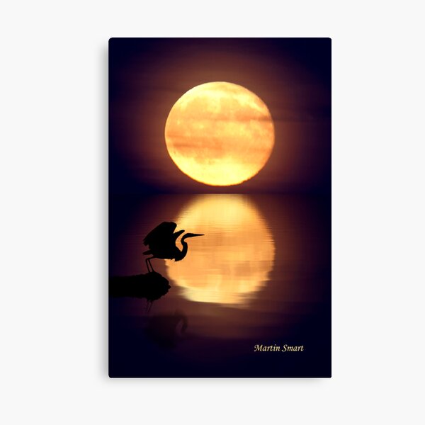 Lost Age Canvas Print