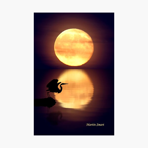 Lost Age Photographic Print