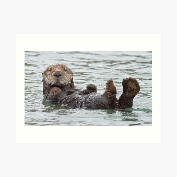 Are you looking at me? Art Print